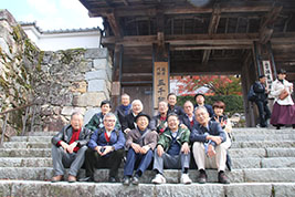 11���x�����̉摜